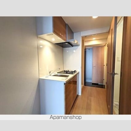 ハーモニーレジデンスグローバルキャピタル[1DK/25.35m2]のキッチン1