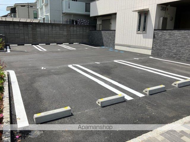 パートリアネモフィラのその他写真
