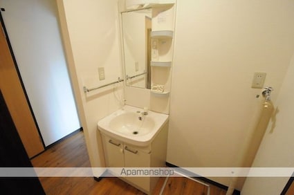 タウニィハイブリッジＡ棟[3K/50m2]の洗面所