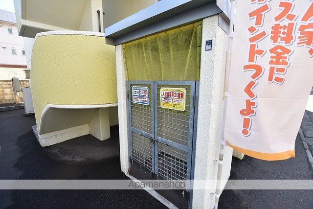 セントポーリアブライトのその他写真