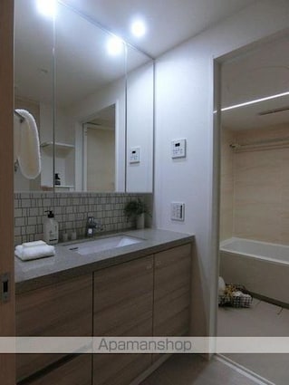 ザ・パークハビオ市ヶ谷イースト[1LDK/53.87m2]の洗面所