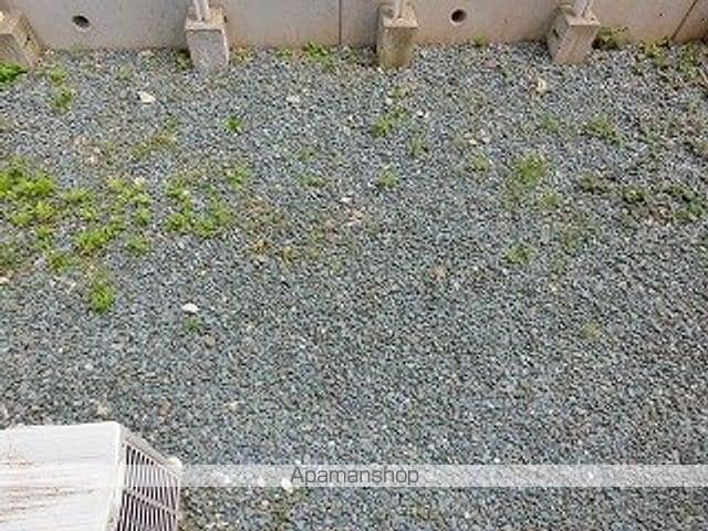 レジデンスコスモ2の内装写真