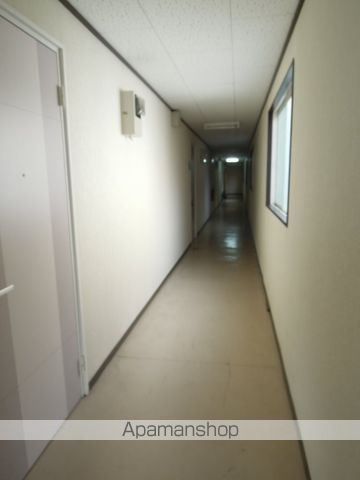 WHITE LILYのその他写真