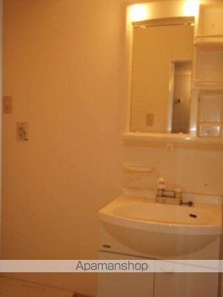 メゾン・ド・ボヌール　ＡＢ[1K/29.9m2]の洗面所