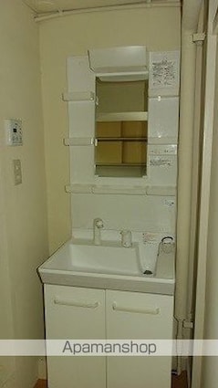 ヴィラナリー川津　２棟[2K/39.17m2]の洗面所