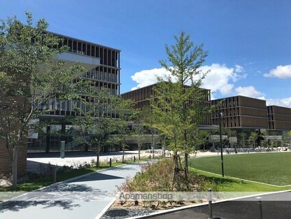 ウィステリア[1K/30.35m2]の周辺3