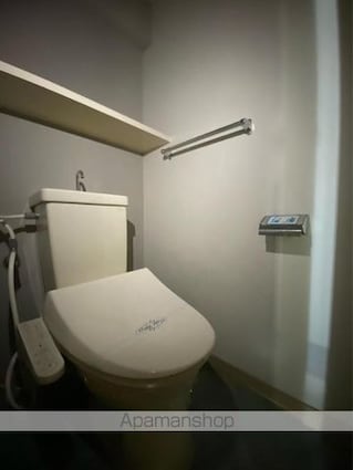 ＡＬＬ上福岡[2LDK/55m2]のトイレ