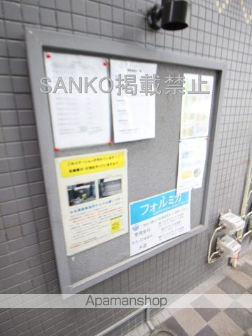 フォルミカのその他写真