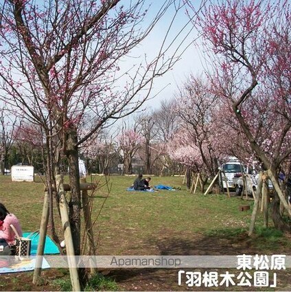 東京都世田谷区松原５丁目[1LDK/48.86m2]の周辺1