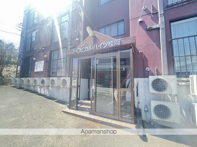 トロピカルハイツ桂岡の玄関写真