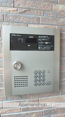 アミュレットのその他写真