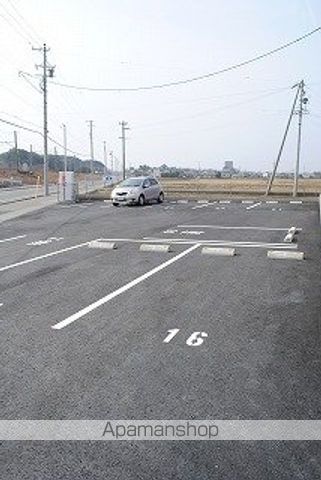 エバーグリーンのその他写真