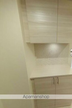 ロイヤルヒルズ三番丁[1LDK/46.66m2]の収納