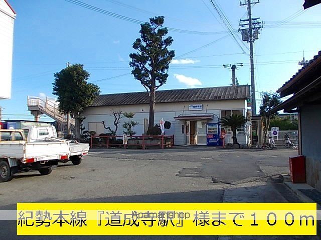 かめりあの周辺写真