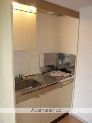 光生ハイツ[1DK/25m2]のキッチン2