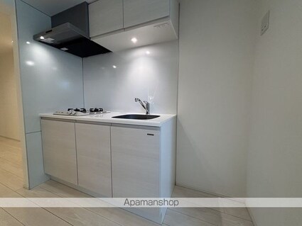 グランデュオ柿の木坂[1LDK/38.05m2]のキッチン