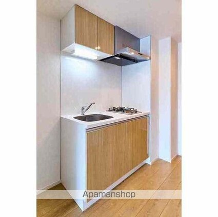 グランカーサ菊川[1DK/27.15m2]のキッチン