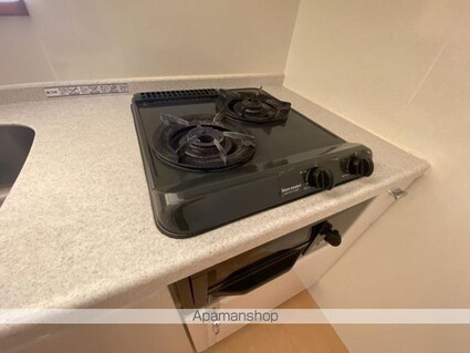 コーポシナジ[2DK/40.05m2]の内装6