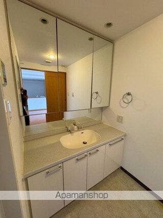 ロイヤルガーデン太田中央公園[4LDK/90.75m2]の洗面所