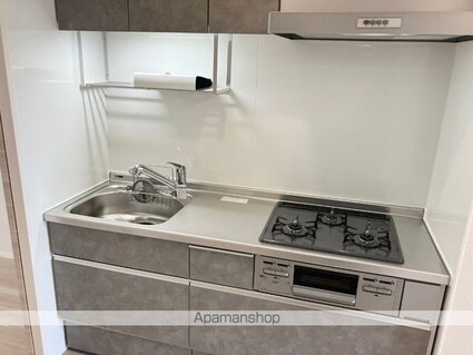 グランドメゾン城ケ丘[1K/30.03m2]のキッチン