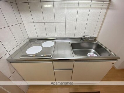 ブエナビスタ　[1K/30.96m2]の内装4