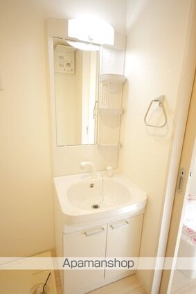 エクセル聖蹟桜ヶ丘[1LDK/31.67m2]の洗面所