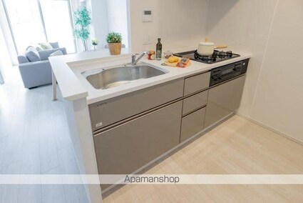 リーフシティ市川　ザ・レジデンス[2LDK/54m2]のキッチン1