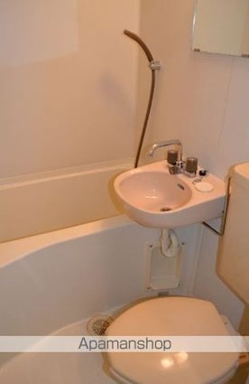 プラザ南小岩[1R/17.5m2]の内装5