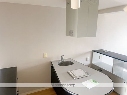 メゾン・ド・アーベリール[1R/30.4m2]のキッチン