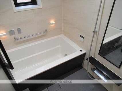 ベルジェンド三鷹ラ・ヴィエ[1R/31.42m2]のその他内装3