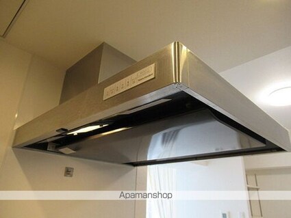 ベルジェンド三鷹ラ・ヴィエ[1R/31.42m2]のその他内装8