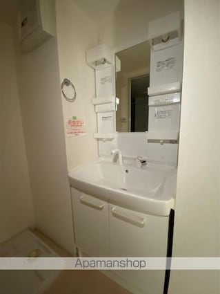 ディアコート林Ⅱ[2K/30.85m2]の洗面所