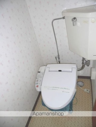 ハイツウイング金子[2DK/48.76m2]のトイレ