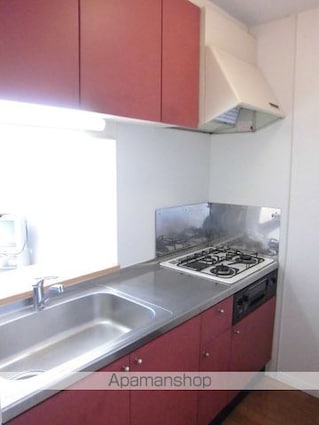 レオパレスドルチェ[2DK/49.68m2]のキッチン