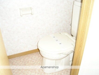 ロイヤルＭ橋詰[1K/28.97m2]のトイレ