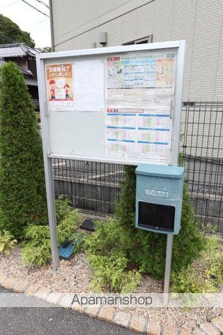 グレイスヴィオラのその他写真