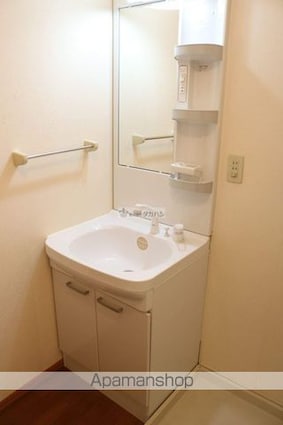 セジュール新涯[2LDK/56m2]の洗面所