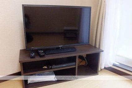 レオネクストフローラ堀ノ内[1K/20.49m2]のその他部屋・スペース2
