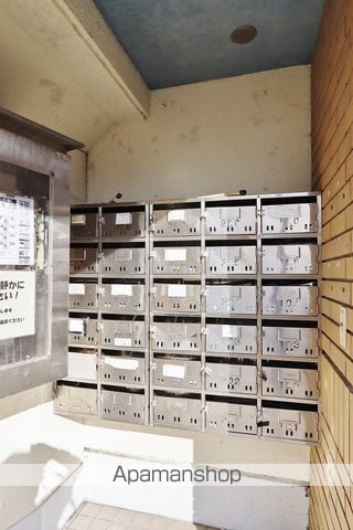 どりーむはいつのその他写真