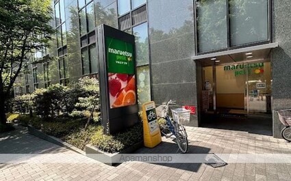 西新宿パークサイドタワー[3LDK/97.85m2]の周辺3