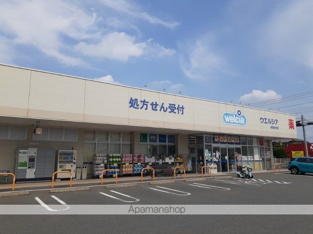 スノードロップの周辺写真