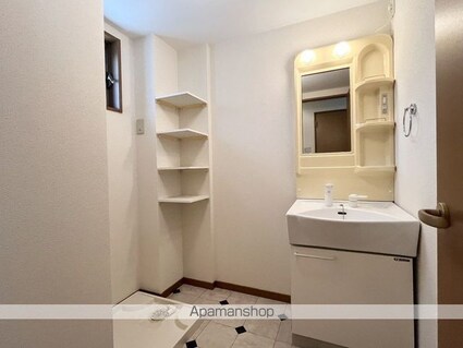 インテリオル[1K/30.94m2]の洗面所