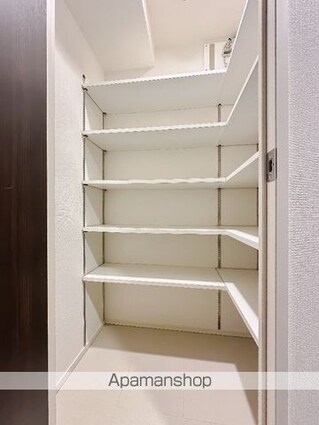 東京都新宿区新小川町[2LDK/52.16m2]の収納