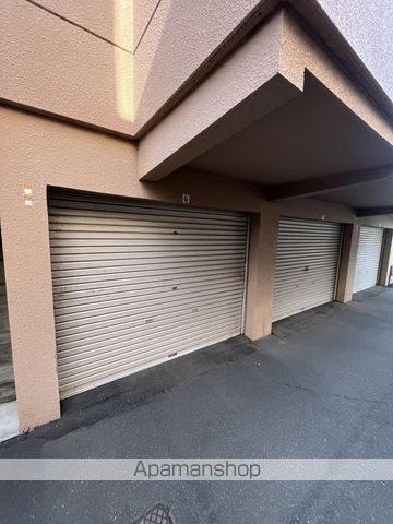 パームツリーのその他写真