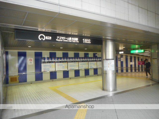 アレックスの周辺写真
