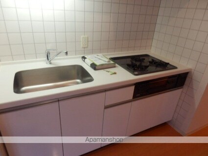 パークアクシス錦糸町[2DK/45.08m2]のキッチン