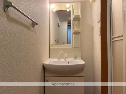 グリーンヒルズ曙[2DK/45.36m2]の洗面所