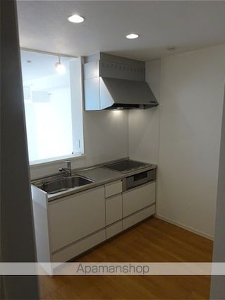 グレンツェン[2LDK/48.18m2]のキッチン