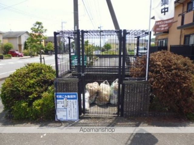 カメリアのその他写真