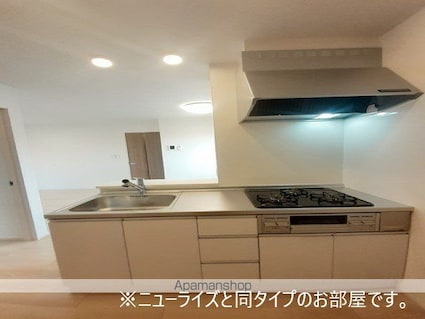 和歌山県和歌山市加納[2LDK/59.16m2]のキッチン